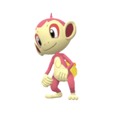 Buy Chimchar in Brilliant Diamond & Shining Pearl